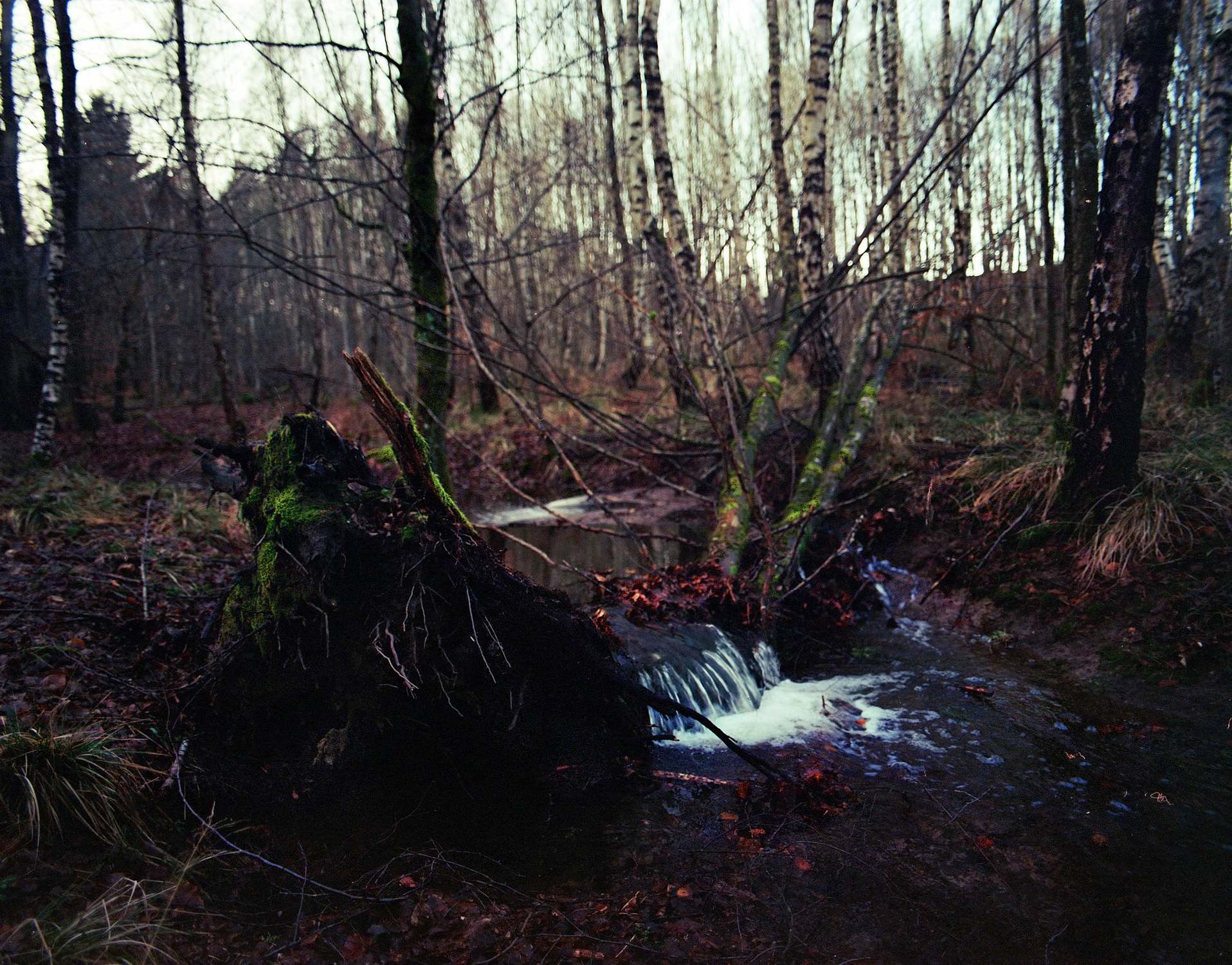 2018 01 18 Pentax 6x7  06